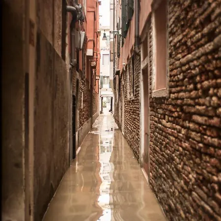 Apartmán Alla Fenice *